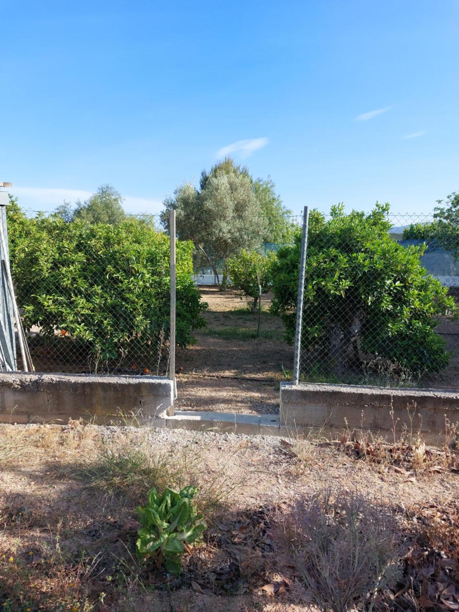 Villa Les Berreries Montroy Exterior foto
